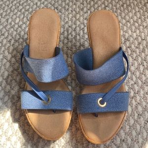 Blue Wedges